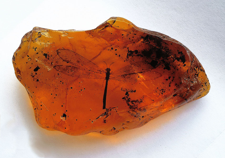 Dragonfly in Amber (Outlander 2) VH Corner